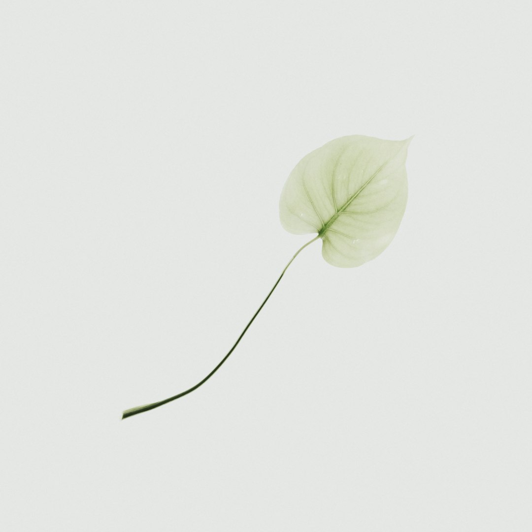 Thrive Within Counselling